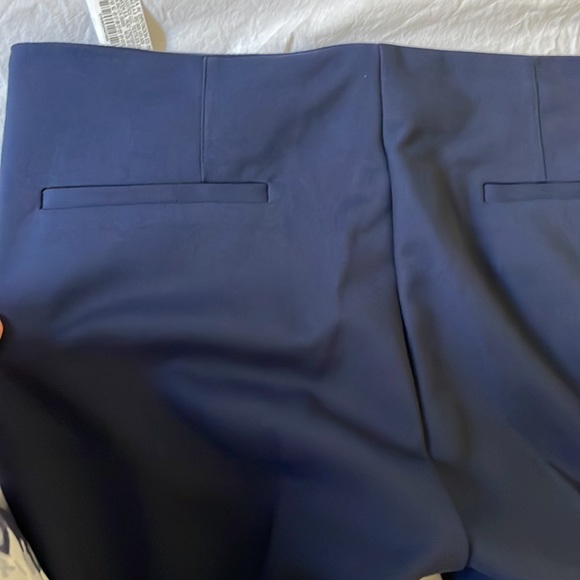 Zara Navy Cigarette Pants - Picture 10 of 11